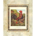 thumbnail image 3 of Ludlow, J.W. 15x18 Black Modern Framed Museum Art Print Titled - Brown Leg Horn, Cassells Poultry Book, 3 of 5