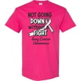 thumbnail image 3 of Inktastic Lung Cancer Awareness Not Going Down Without a Fight T-Shirt, 3 of 5