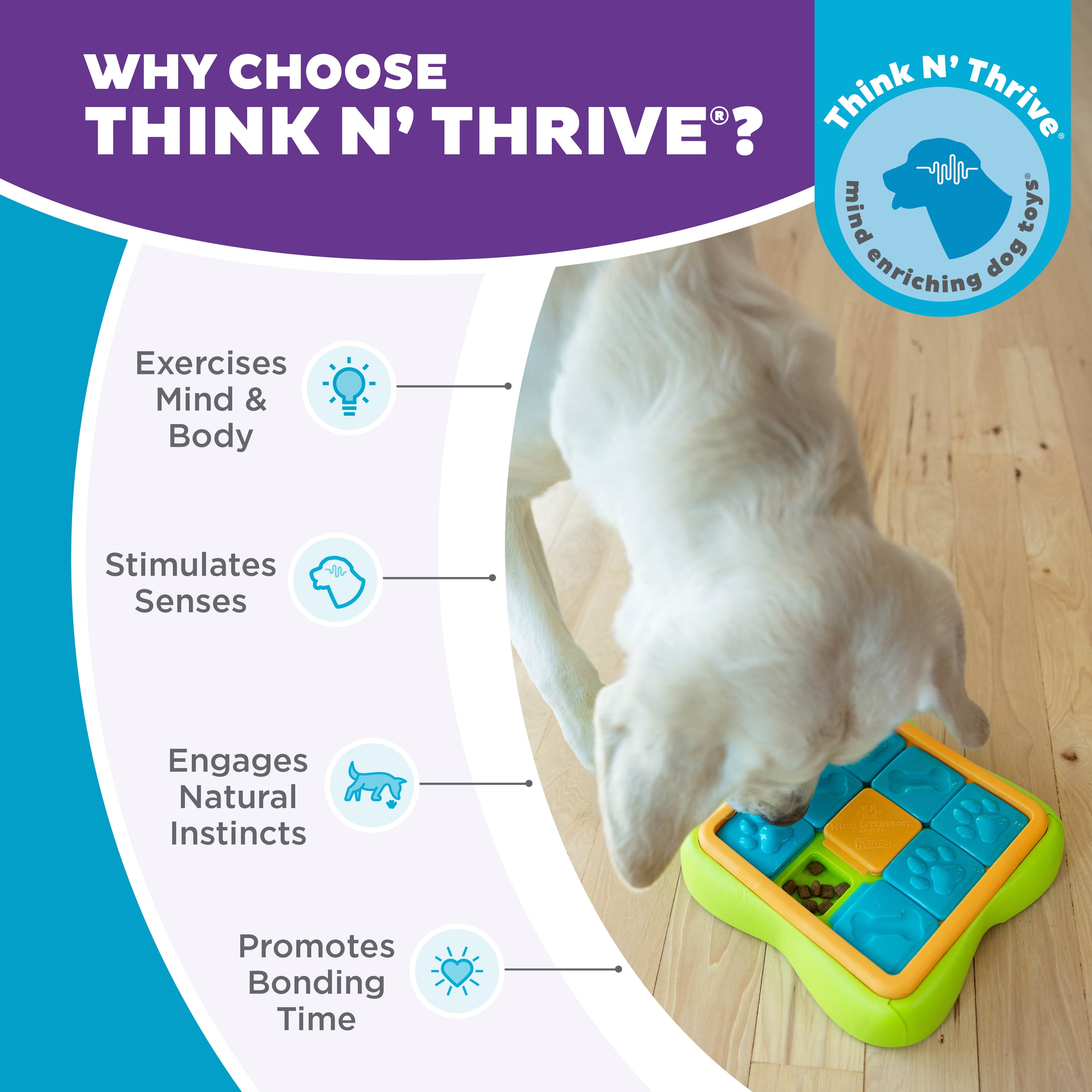 Outward Hound by Nina Ottosson Challenge Slider Treat Puzzle Enrichment Toy, Level 2 Intermediate, Multicolored