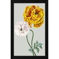 thumbnail image 2 of Vision Studio 16x24 Black Modern Wood Framed Wall Art Titled - Vintage Garden Varieties III, 2 of 6