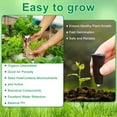thumbnail image 3 of 121Pcs Seed Pod Kit Transparent Reusable Hydroponic Growing System for Vegetables Fruits Tomatoes Flowers, 3 of 10