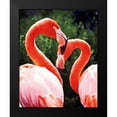 thumbnail image 2 of Van Swearingen, Debra 12x14 Black Modern Framed Museum Art Print Titled - Flamingo II, 2 of 5