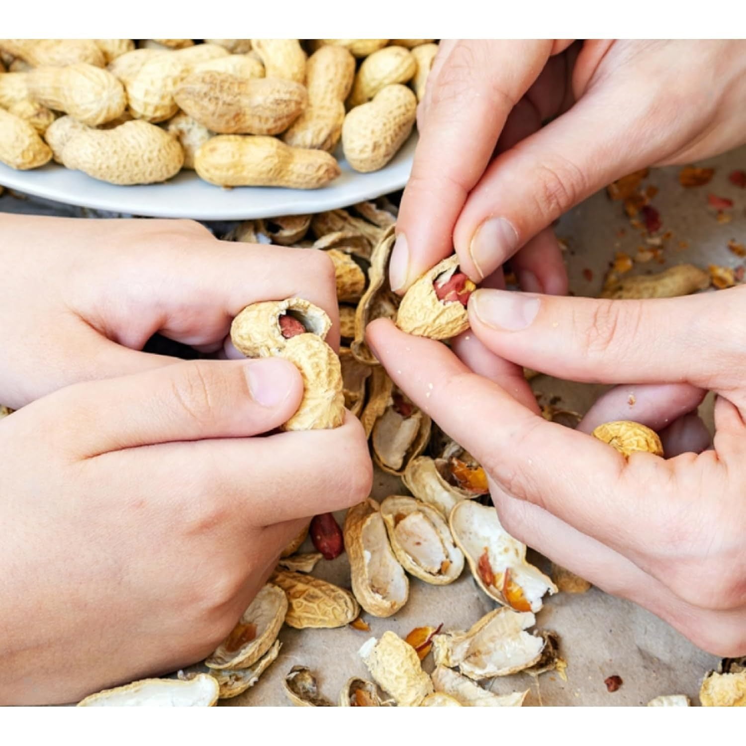 ZYSF Unsalted & Roasted In-Shell Peanuts, 80.0 Ounce