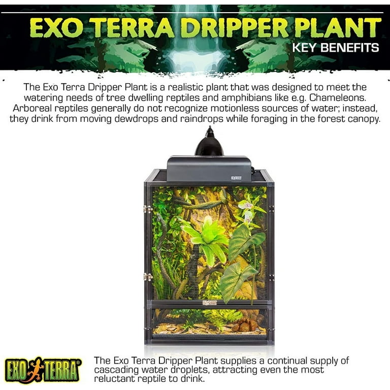 Exo Terra ドリッパープラント LARGE Exo Terra Large Terrarium Dripper Plant, Fake Reptile Decor