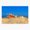 1pcs, variant on Various conch shell on a beach against othe blue sea and sky. Sticker