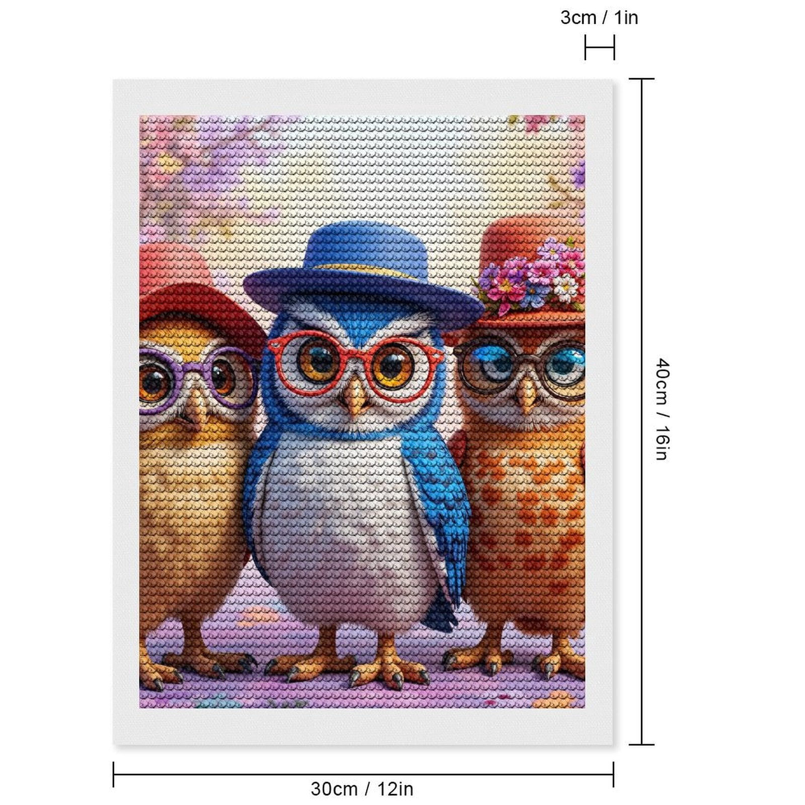 Diamond Art Kits for Adults, Whimsical Owls In Stylish Hats 5D Diamond Painting Kits for Adults Beginners, DIY Full Drill Diamond Painting, Gem Art and Crafts 12x16