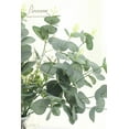 thumbnail image 4 of Artificial Flocked Eucalyptus Stems Faux Greenery Spray, 18pcs Best Filler Fake Plants for DIY Wedding Bouquet Centerpieces Arrangement, 4 of 5