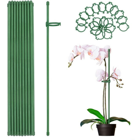 Anvazise 6Pcs/12pcs Plant Support Stakes with Rings Floral Arrangements Growing Vegetables Green Plant Support Sticks Garden Supplies 6pcs 40cm