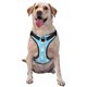 thumbnail image 1 of Fotbe Skating Poodle Fun Arnés para Perro con Estampado –Chaleco Ajustable Acolchado con Asa de Control para Perros Grandes-Small, 1 of 6