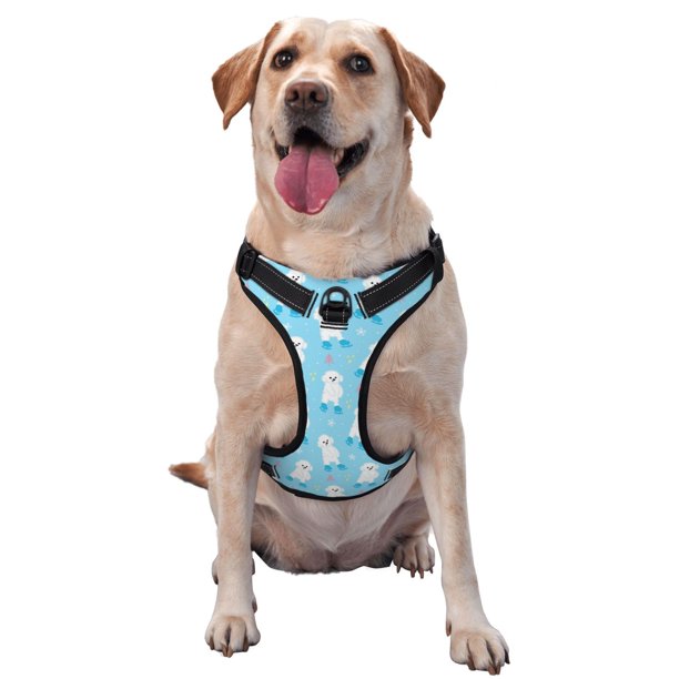 Fotbe Skating Poodle Fun Arnés para Perro con Estampado –Chaleco Ajustable Acolchado con Asa de Control para Perros Grandes-Small