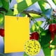thumbnail image 1 of 2024 Suitable 100 Pieces Yellow Double Sided Fly Trap, Double Sided Yellow Traps for Flying Insects - Greenhouse And Outdoors, Aphids, Fungus Gnats, M, 1 of 5