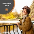 thumbnail image 3 of BulkSupplements Quercetin Dihydrate Capsules - 1000mg per Serving (240 Capsules - 60 Servings), 3 of 6