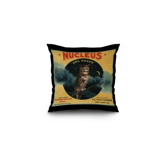 Nucleus Owl Brand Ontario California Citrus Crate Label 16x16 Spun Polyester Pillow Black Border