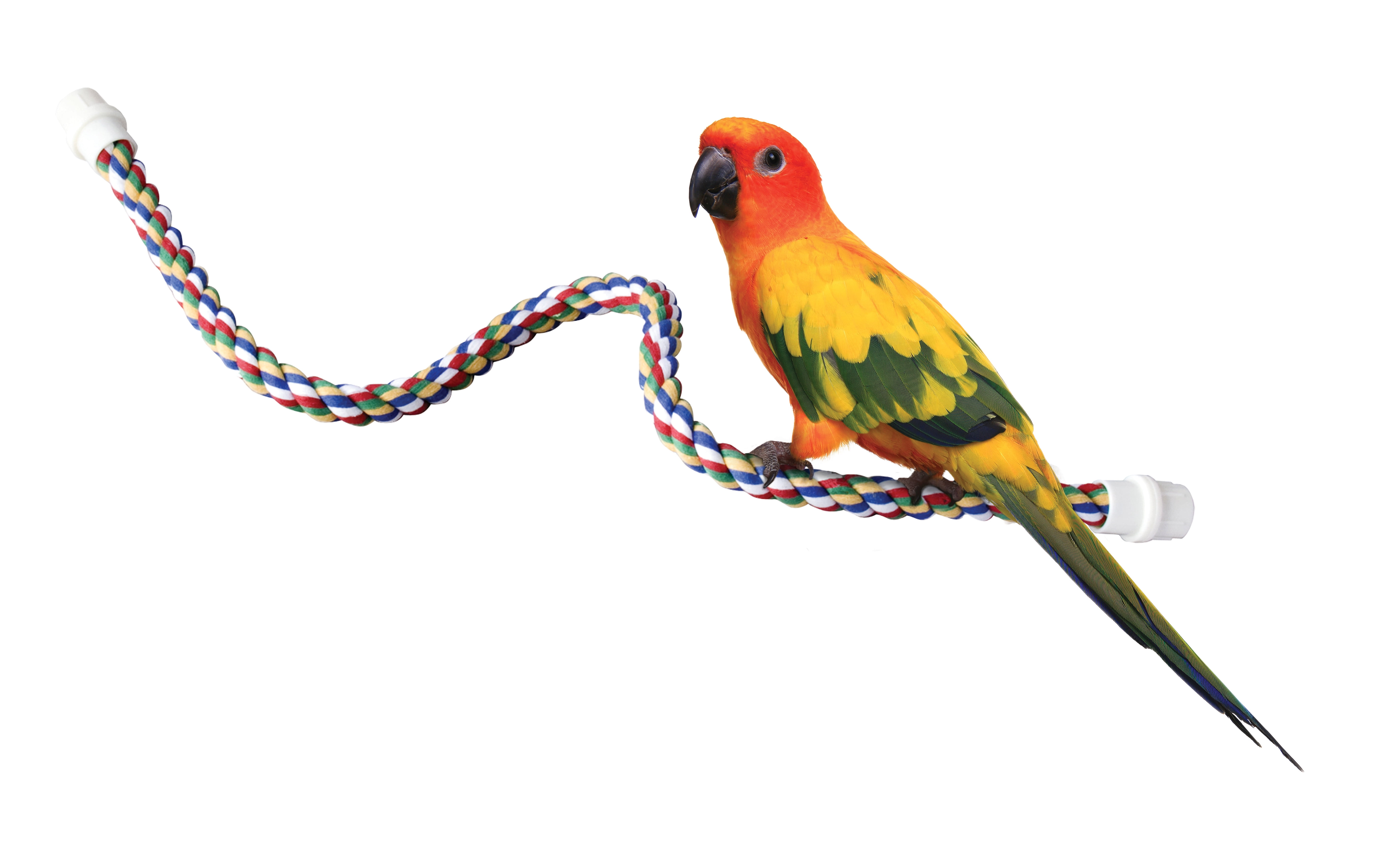 21-Inch L Flexible Multicolor Rope Comfy Perch for Birds Pack of 1