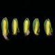 thumbnail image 4 of 5 Piezas 1/12 Alimentos Fruta Verduras en Miniatura Accesorio de Cocina de Muñeca Juguetes para Niños, 4 of 6
