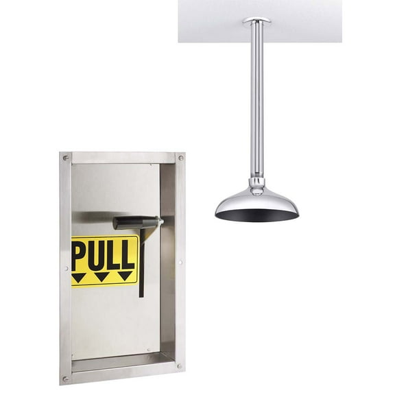 Speakman Se-238 Lifesaver Emergency Deluge Shower For Ceilings Taller Than 96"