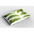thumbnail image 2 of Ambesonne Palm Leaf Pillow Sham 2 Pack, Summer Botany Tropic, 36"x20", Lime Green White and Green, 2 of 3