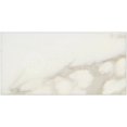 Calacatta (Italian Calcutta) Marble 3 X 6 Subway Field Tile, Honed