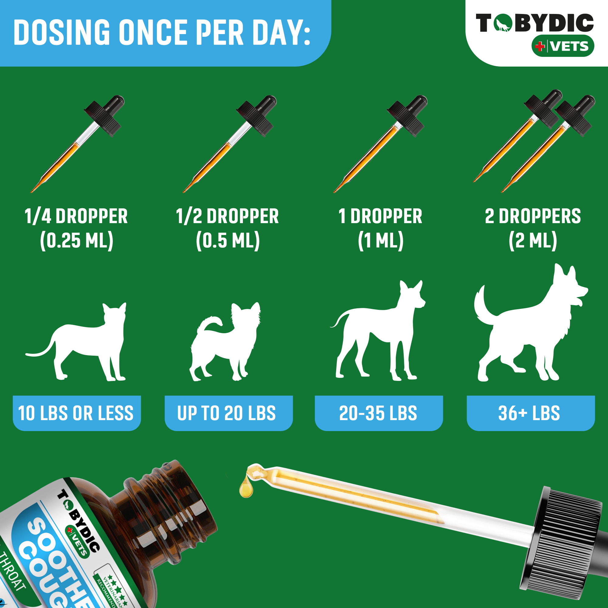 What Can I Give My Dog for Kennel Cough: Safe Remedies Explained