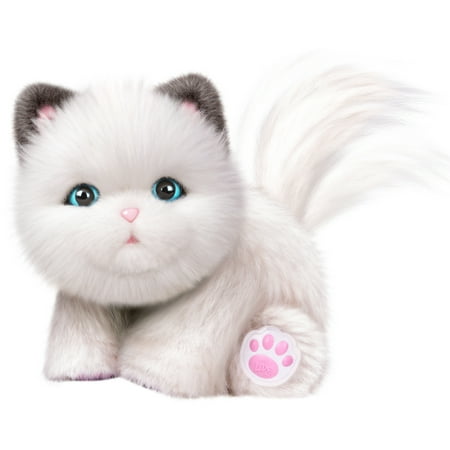 little live pets cuddles my dream kitten plush toy