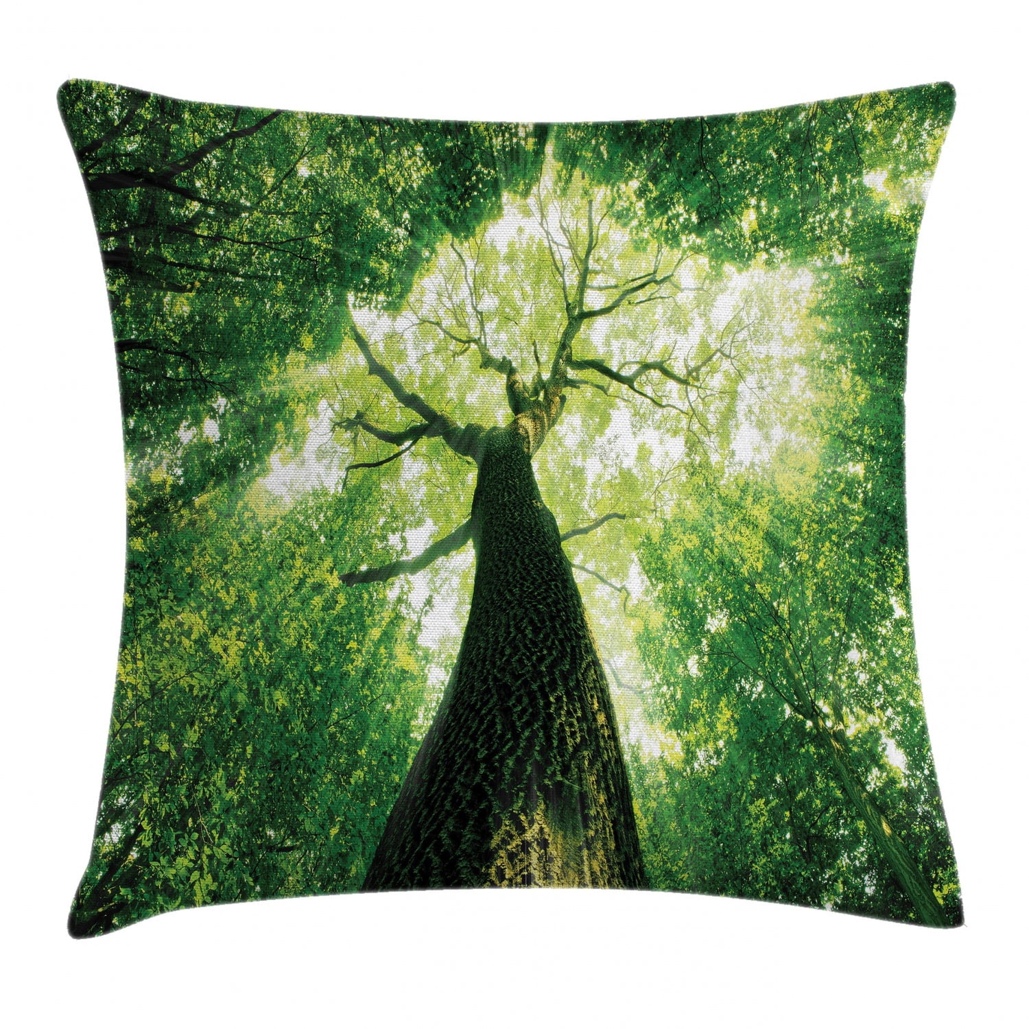 Forest Home Decor Throw Pillow Cushion Cover, Sunlights to Woodland