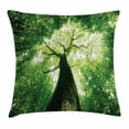thumbnail image 1 of Forest Home Decor Throw Pillow Cushion Cover, Sunlights to Woodland Wild Habitat Summer Rays Dreamy Foliage Park Landscape, Decorative Square Accent Pillow Case, 18 X 18 Inches, Green, by Ambesonne, 1 of 2