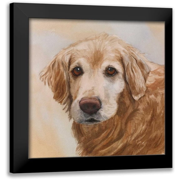 Fagan, Edie 12x12 Black Modern Framed Museum Art Print Titled - Chelsea Golden Retriever