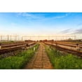 thumbnail image 5 of wall26 - Cargo Train Platform at Sunset with Container - Removable Wall Mural | Self-Adhesive Large Wallpaper - 100x144 inches, 5 of 6