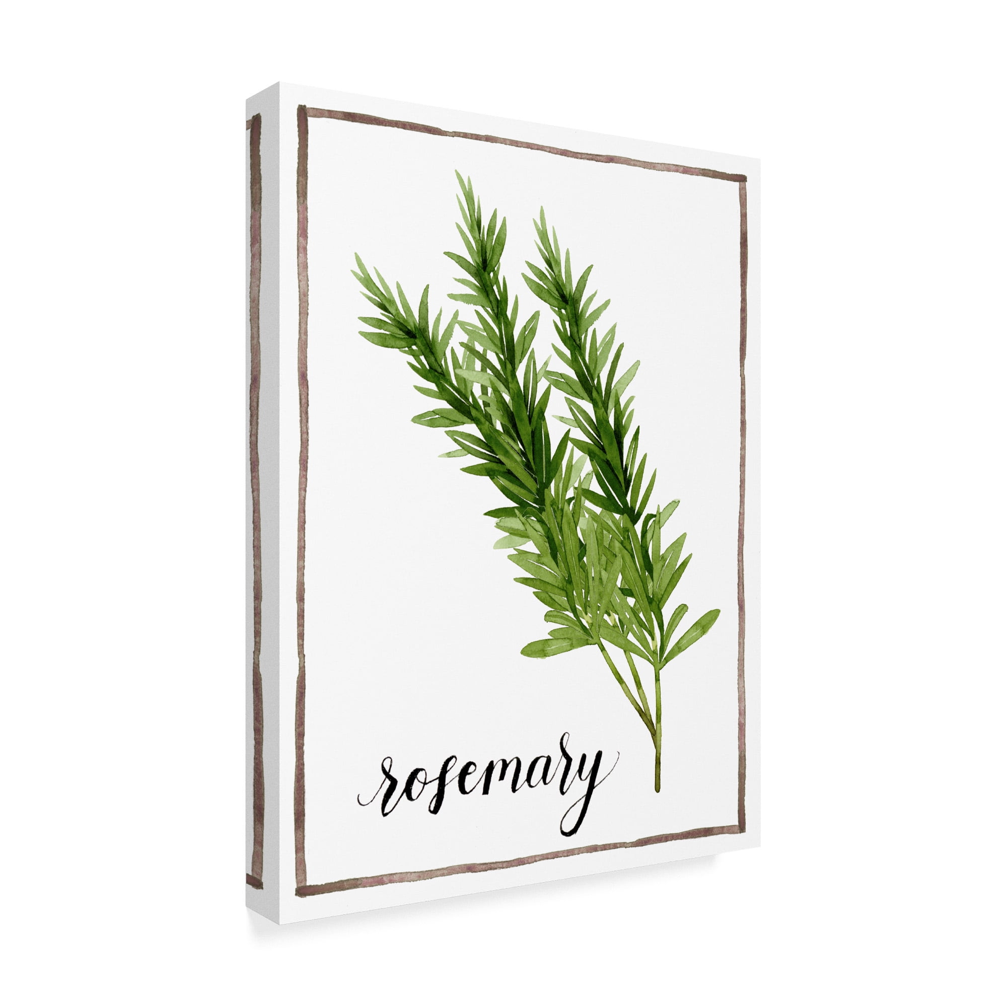 Trademark Fine Art 'Watercolor Herbs V' Canvas Art by Grace Popp