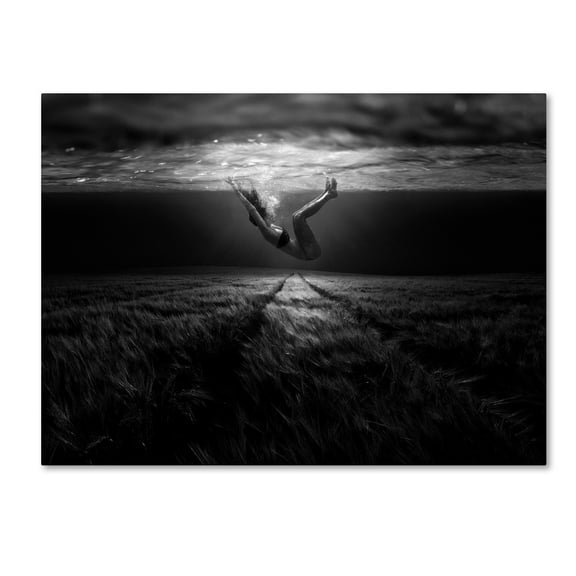 Trademark Fine Art 'Underwaterlandream' Canvas Art by Peter Majkut