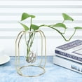 thumbnail image 3 of Florero de vidrio, jarrones transparentes para plantas hidropónicas, jarrones para plantas hidropónicas, maceta para plantas hidropónicas, a medida para la perfección, 3 of 8