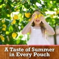 thumbnail image 4 of Country Time Ready to Drink Flavored with Other Natural Flavor Drink, 10 Pouches, for School Lunches and On-the-Go Hydration, Strawberry Lemonade, No Artificial Colors or Flavors, 6 fl oz, 4 of 15