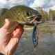 thumbnail image 4 of Señuelos de pesca luminosos de caballa con impresión 3D, accesorios de pesca al aire libre de 60/80g, 4 of 7