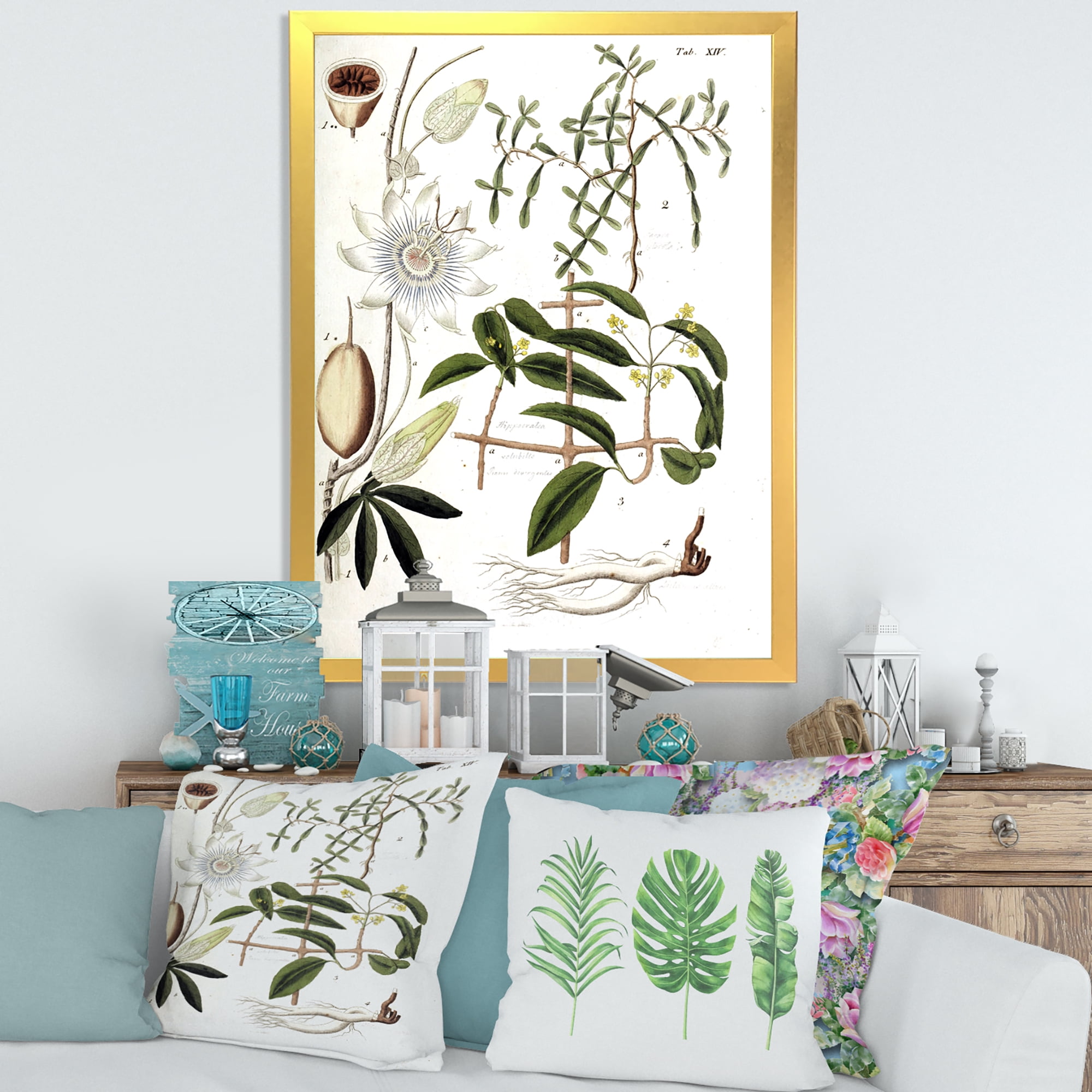 Designart 'Ancient Plant Life IV' Farmhouse Framed Art Print