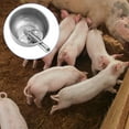 thumbnail image 4 of Small-Sized Stainless Steel Automatic Pig Waterer Bowl for Piglets (3-15 lbs) - Thickened, Durable Livestock Drinking Trough with Smooth Rounded Design, Easy Installation, Touch-Activated Water, 4 of 6
