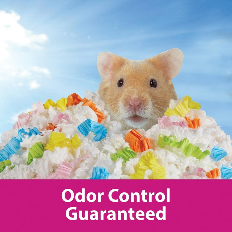 Paper based bedding for hamsters discount