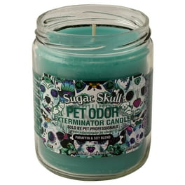 Pet Odor Exterminator 13 Ounce Jar Candle Lollipets Walmart