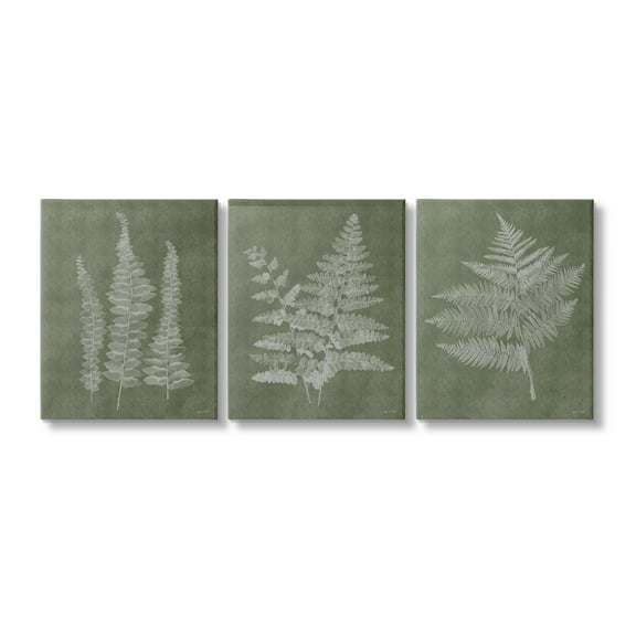 Stupell Industries Vintage Fern Silhouettes Botanical & Floral Painting Gallery Wrapped Canvas Art Print Wall Art, 11 x 14, Set of 3