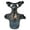 Celestial Star Map, variant on Pet Vest For Walking With Handle Adjustable Reflective Dog Cat Harness Orange and White Background