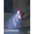 thumbnail image 6 of LED Finger Light, 6 of 6