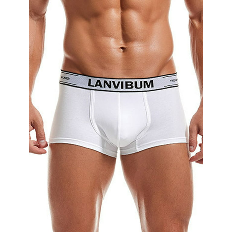 Capreze Men Boxer Briefs Coolzone Underpants Wide Waistband Underwear  Breathable Boxers Trunks Moisture-Wicking White S 