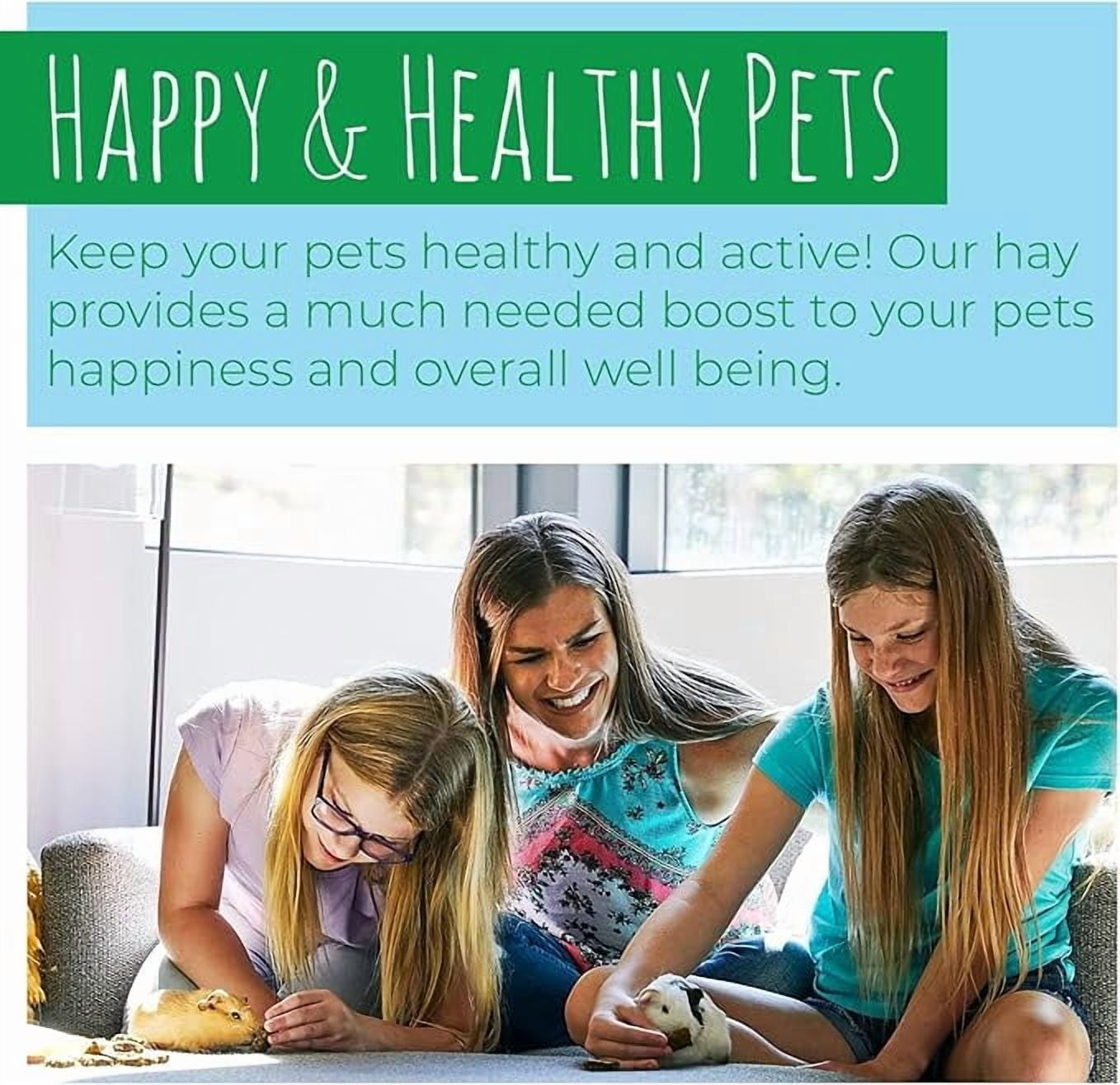 Small Pet Select 2nd Cutting Perfect Blend Timothy Hay Pet Food for Rabbits, Guinea Pigs, Chinchillas and Other Small Animals, Premium Natural Hay Grown in The US, 2 LB