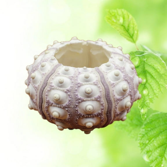 FUTUREORYY 2pcs Sea Pineapple Holder Unique Air Plant Pot Decoration For Succulent Plants Present For Garden Lovers