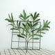 thumbnail image 3 of Decoración de hojas de olivo Sincero artificiales para bodas y jardines, 3 of 7