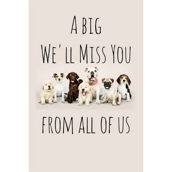 A big We'll Miss You from all of us : Perfect goodbye gift for coworker that is leaving / going away gift for your co worker, boss, manager, employee. (Paperback)