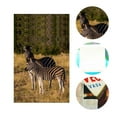 thumbnail image 3 of ABPHOTO Polyester 5x7ft Stopped Zebras Backdrop Outdoor Travel Photography Background Studio Props, 3 of 5