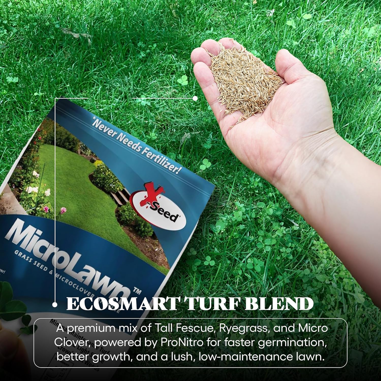 X-Seed 440AS0135UCT144 5 Lb MicroLawn Grass Seed and Microclover Mixture