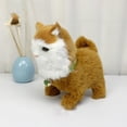 thumbnail image 5 of BotaniNest " Cat : Soft & Lovable! Keep Your Kitty Entertained With This That’s All The In !", 5 of 5