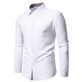 thumbnail image 1 of Blusa y camisa de manga larga con cuello vuelto para hombre, informal, con botones y retazos, de poliéster., 1 of 8