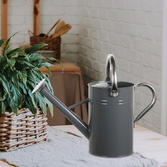 Regadera de metal para plantas de exterior e interior con boquilla extraíble, decoración a prueba de fugas, construcción robusta y resistente a la gris